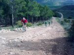 08052010_011.jpg