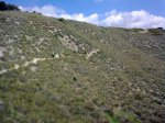 08052010_031.jpg