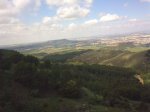 08052010_036.jpg