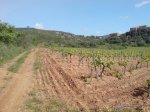 DSC04828.jpg