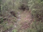DSC00869.jpg