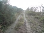DSC00864.jpg