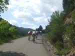 DSCF3500.jpg