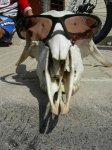 8-05-2010  El infierno 017.JPG