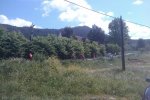 IMAG0096.jpg