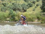 Imagen0225_1.jpg