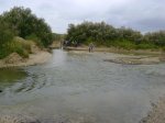 DSC00734.jpg