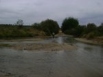 DSC00732.jpg