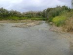 DSC00746.jpg