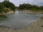 DSC00736.jpg