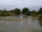 DSC00733.jpg