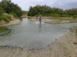 DSC00741.jpg
