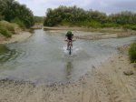 DSC00743.jpg
