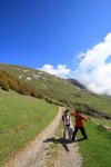 img_1544ok2.jpg