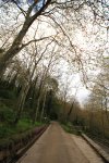 img_1536ok2.jpg