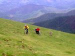 09052010_001.jpg