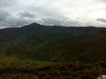 DSC00295.jpg