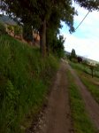 DSC00275.jpg
