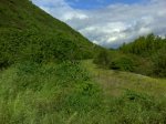 DSC00269.jpg