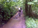 DSC00294.jpg