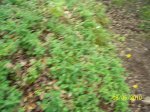 100_2189.jpg
