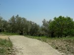 8-05-2010  El infierno 036.JPG