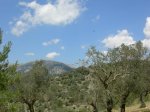 8-05-2010  El infierno 037.JPG