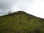 CIMG7500.jpg