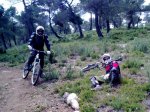 08052010390.jpg