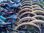 08052010393.jpg