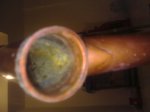 03052010223.jpg