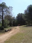 DSC01969.jpg