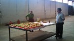 DSC00083.jpg