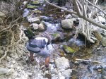 DSC00838.JPG