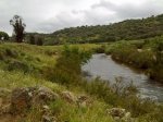 idanha 2010 035.jpg
