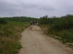 DSC00730.jpg