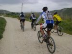 DSC00754.jpg