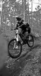 DH Alberto Charly0216.jpg