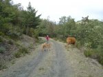 DSC02661.JPG