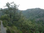 DSC02667.JPG