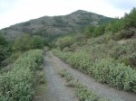 DSC02670.JPG