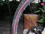 bontrager-disc-D-detalle.jpg