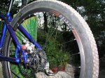 bontrager-disc-T.jpg