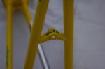 DSC_5360.jpg