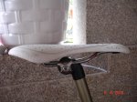 DSC03723.jpg