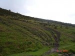 DSC03742.jpg