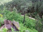 IMG_1621.JPG