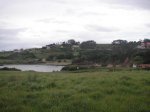 PICT0036.jpg
