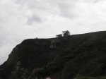 PICT0060.jpg