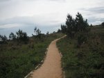 PICT0054.jpg